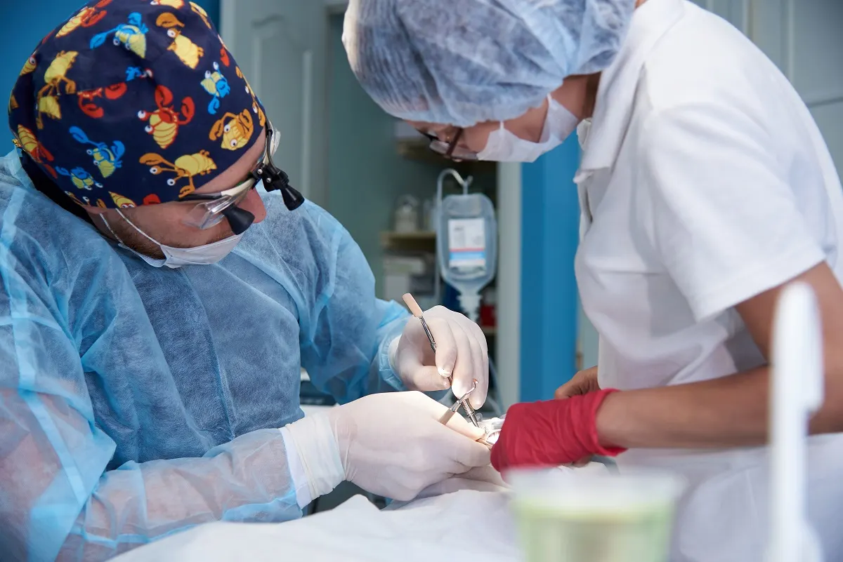 Stomatoloji klinikada cərrahi əməliyyat
